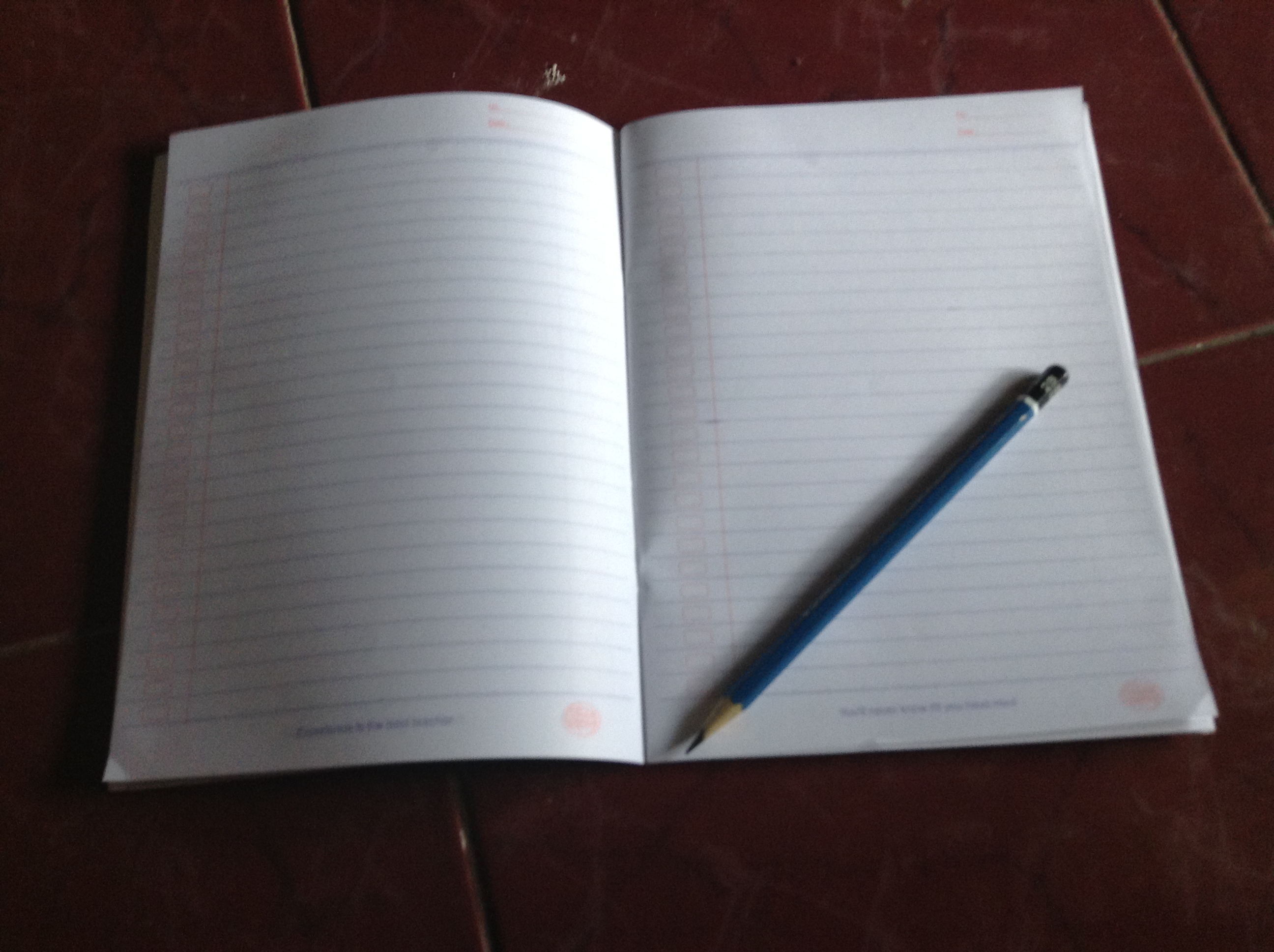 pengamat-buku-putih-pdip-hanya-bohong-belaka