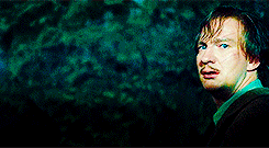 11 Fakta GUuILAAAkK Lak Laak!!! Ada apa dgn NEWT SCAMANDER dan HARRY POTTER????