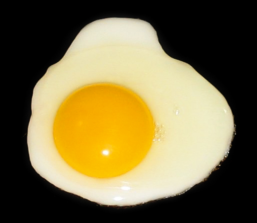 Mitos seputar telur