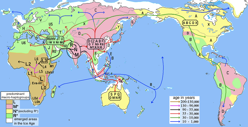 misteri-ten-lost-tribes-of-yisrael-di-indonesia