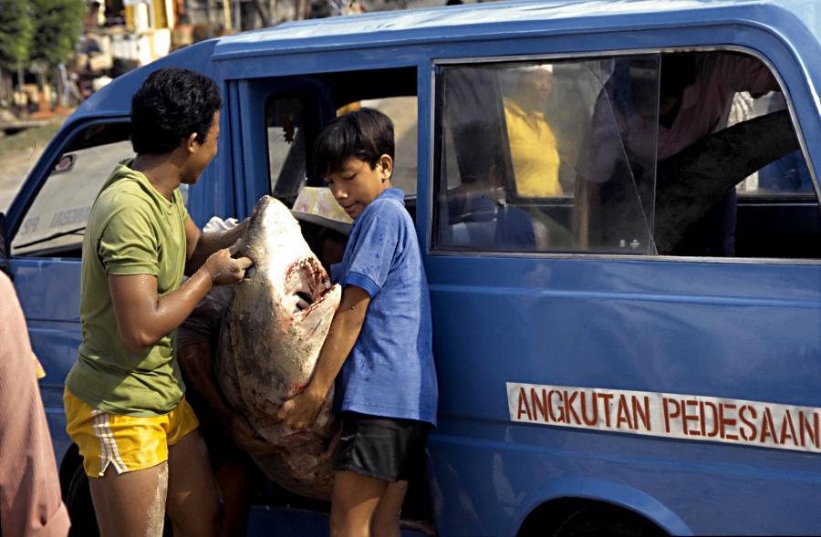 The Fact - Hidup di Kampung (Ga') Lebih Murah