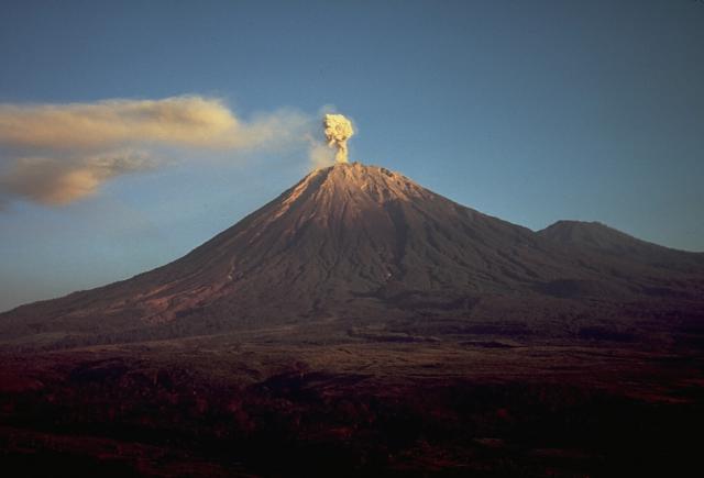 Taman Nasional di Indonesia Pada 2014 Banyak yang Naik