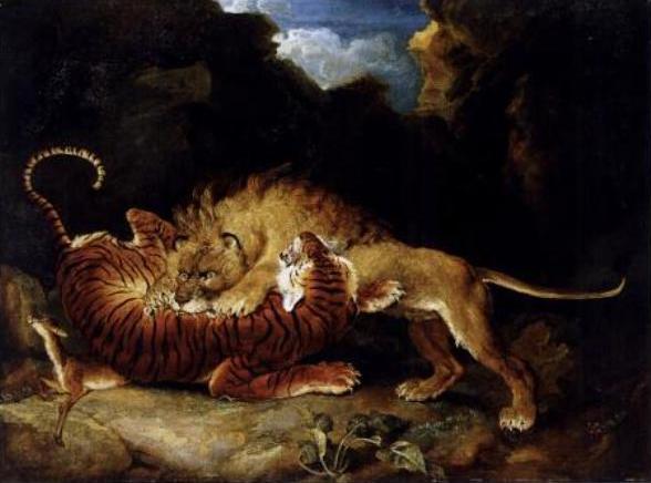 Singa melawan Harimau, Siapa Yang Menang ?