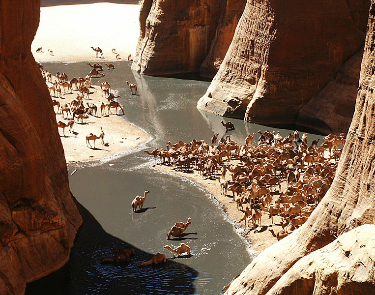 &#91;WOW&#93; Guelta d'Archei, Surga Tersembunyi Di Gurun Sahara 