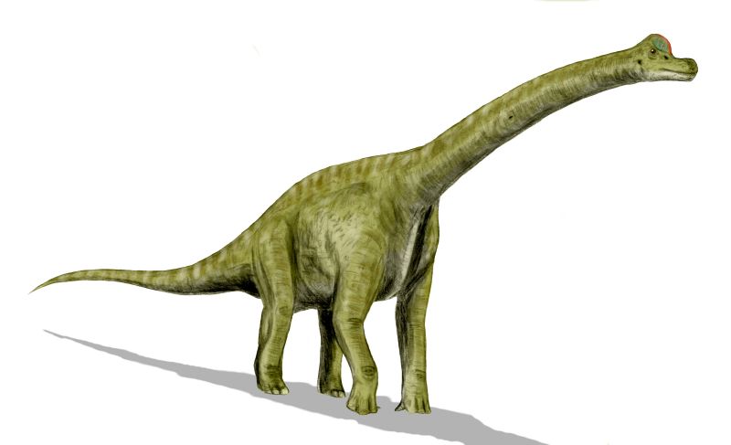 ortu-ane-nemu-anak-dinosaurus-ane-gak-percaya