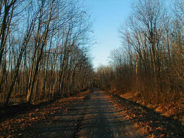 Jalan Paling Horor di Dunia