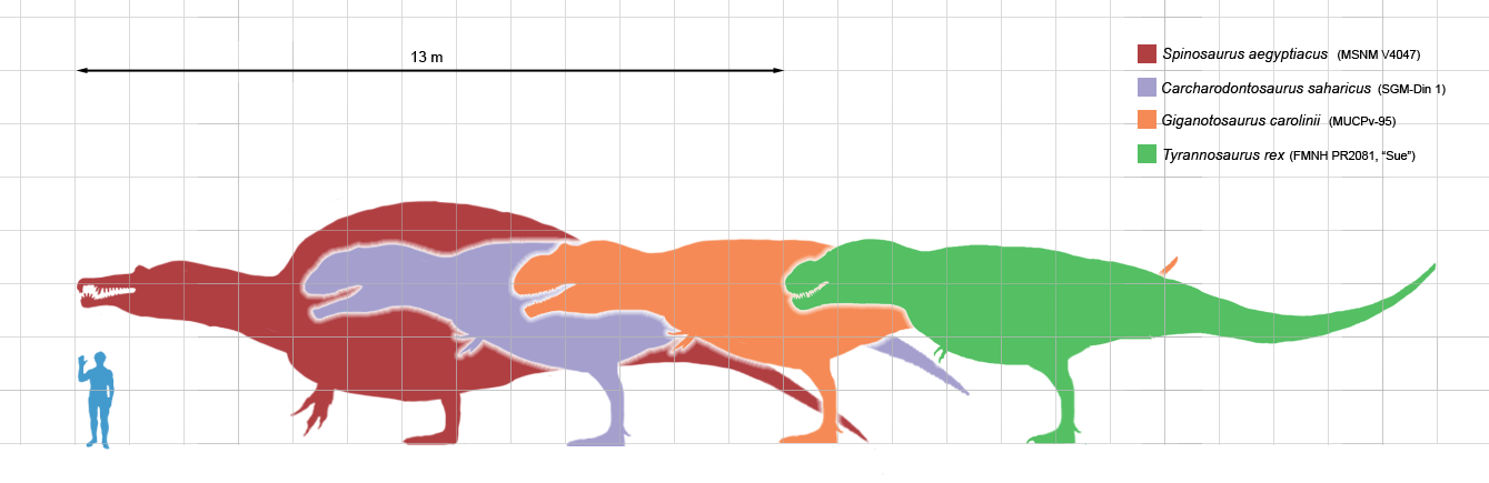 Wow Fosil Dinosaurus Terbesar Telah Ditemukan Lagi