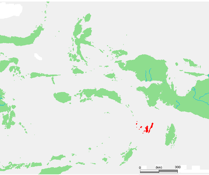 Kepulauan Kei Surga Kecil di Maluku Tenggara