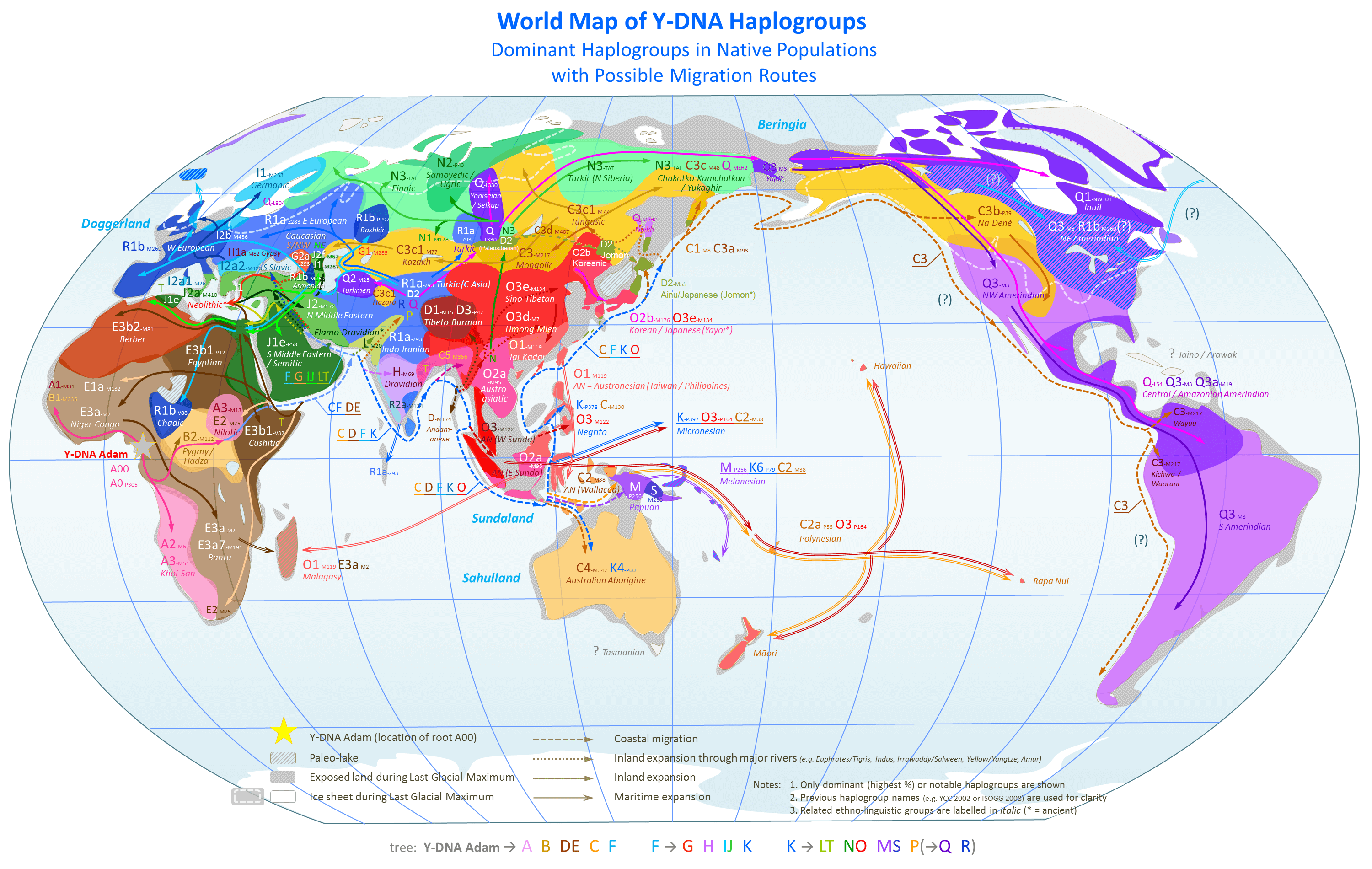 genographic-project-dari-national-geographic