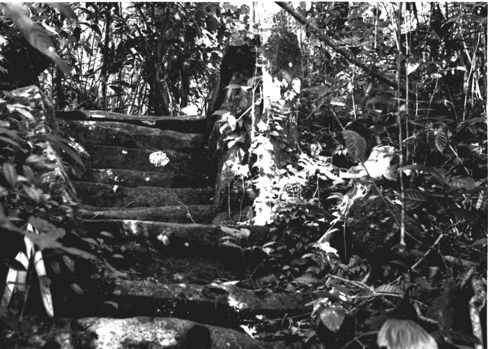 Megalith Gunung Padang Jabar, Stone Henge Versi Indonesia