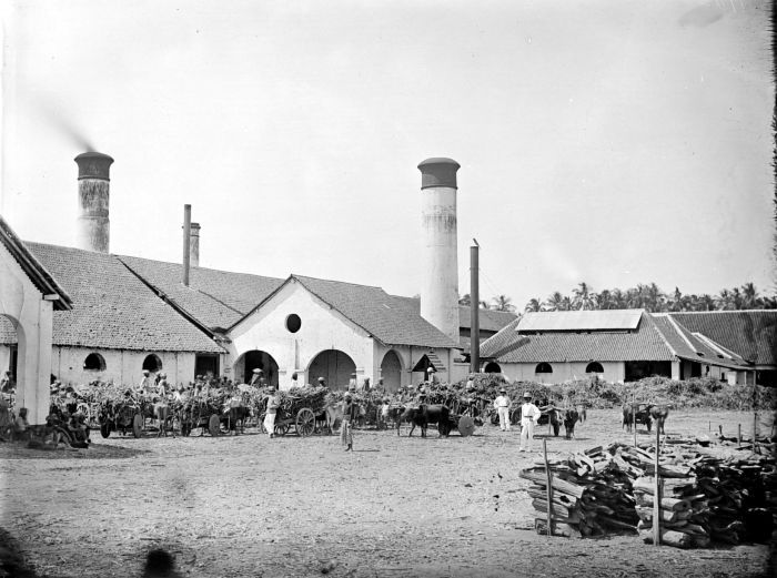 Pembantaian Glodok 1740,, Penggemar Sejarah Wajib Masuk!!