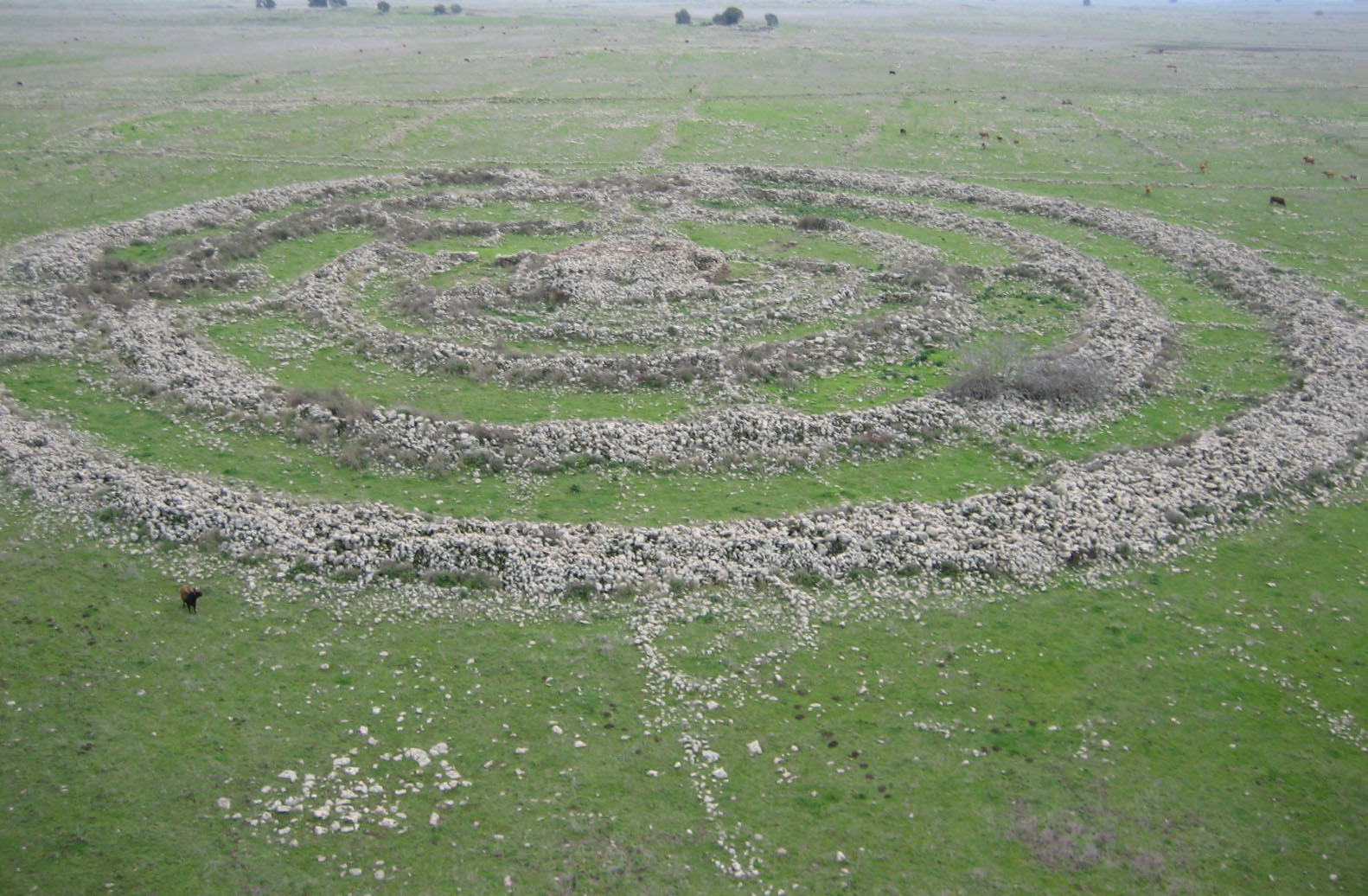 post-image