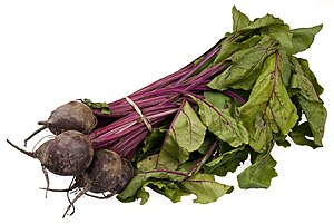 Mengenal Akar Bit / Beetroot serta Manfaatnya