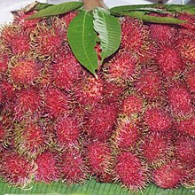 Dah mw akhir desember, lom nongol juga...