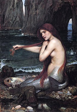 mermaid a.k.a putri duyung, agan pada percaya ndak?
