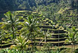 &#91;MUST SEE!&#93; Bali Merupakan Pulau Terbaik di Dunia!