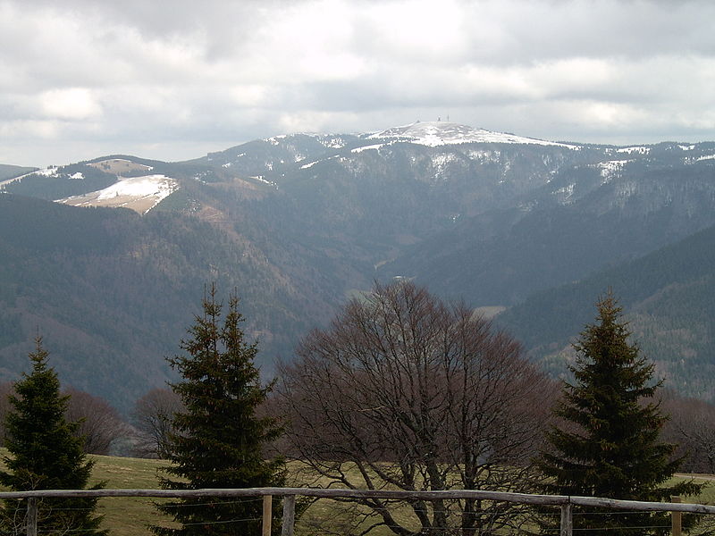 Pegunungan Indah nan Asri &quot;Black Forest&quot;