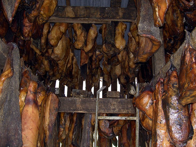 Widiiiiiiiiih.... || Kumpulan Makanan Terbau di seluruh dunia