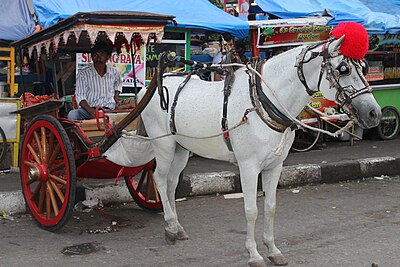 Gambar Pilihan Wiki periode Januari-Juni 2014, mana pilihan Agan ?
