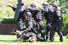 Mengenal lebih dalam tentang SWAT