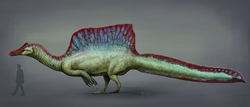 perjalanan-penemuan-dino-setengah-buaya-spinosaurus