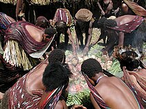 Mengenal tradisi Bakar Batu di papua