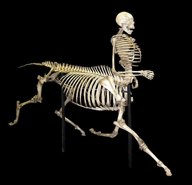 Centaurs, Manusia Setengah Kuda dalam Mitologi Yunani Kuno