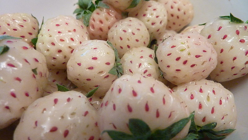 STRAWBERRY SENSASI RASA NANAS