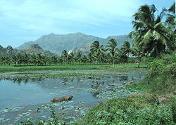 Trip ke South India (Trivandrum, Kerala, Kanyakumari, NagerCoil)