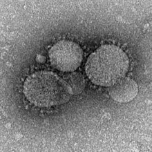 All About Middle East Respiratory Syndrome | MERS &#91; Flu Arab &#93;