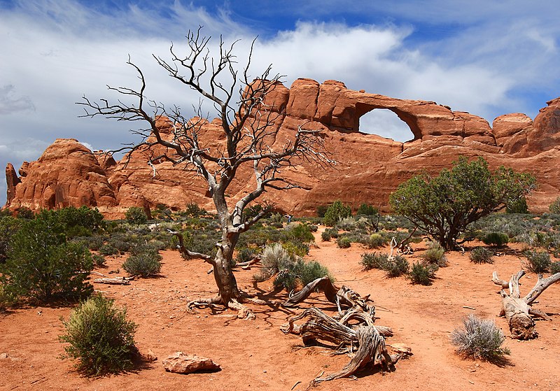 &#91;AMAZING&#93;Mengintip Keindahan Arches National Park