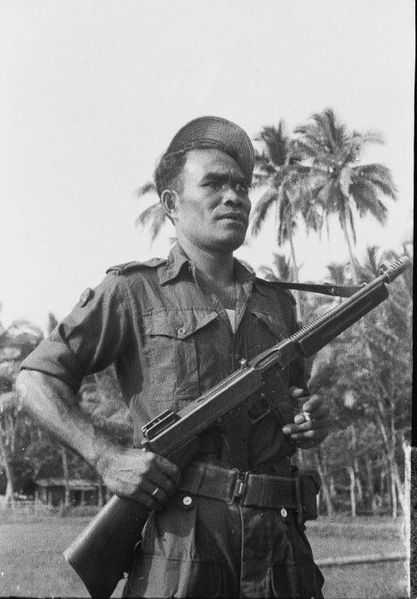 Biografi Pemuda INDO di Kesatuan NAZI (DIVISION WAFFEN-SS 34TH) NO HOAX