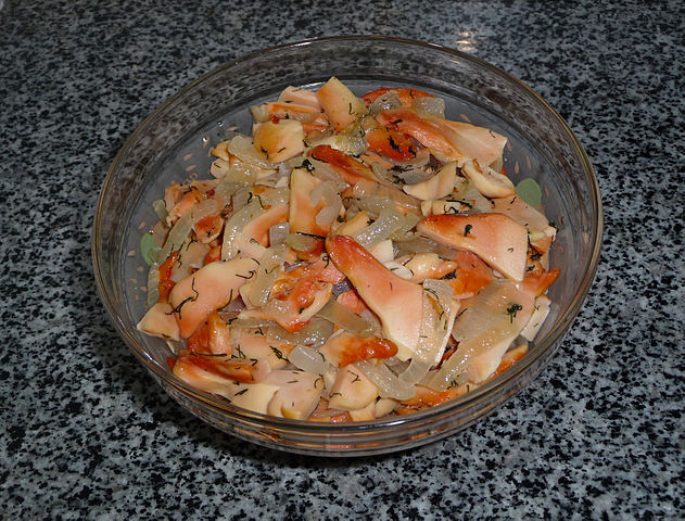 &#91;UNIK&#93; Pernah Makan Jamur Rasa Ayam Gan???