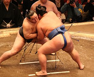 All About Sumo
