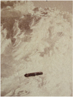 MISTERI ALIEN DAN UFO