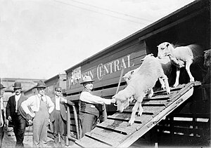 kereta-api-sulsel-akan-dipakai-angkut-sapi