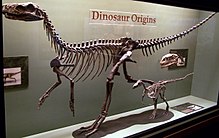 Mengapa Dinosaurus Punah