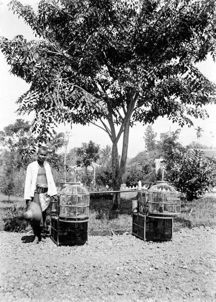 Foto-foto Orang Indonesia di Tahun 1908