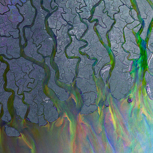 - Alt-J ∆ - Indie rock, Indie pop, Art rock, Folktronica