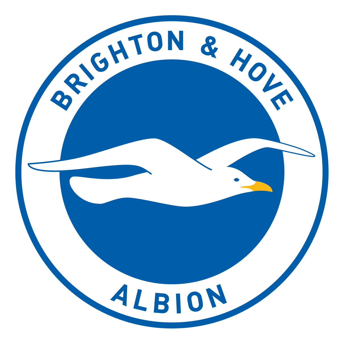 Brighton &amp; Hove Albion F.C. SEASON 2020-2021