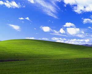 Cerita Cinta di Balik Wallpaper Terpopuler Windows XP