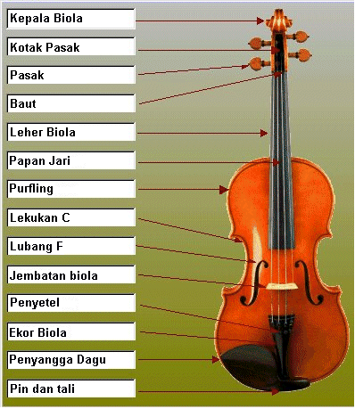 mari mengenal violin atau biola