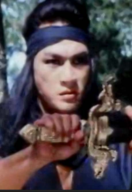 Ciri-ciri Film Silat Pada Umumnya