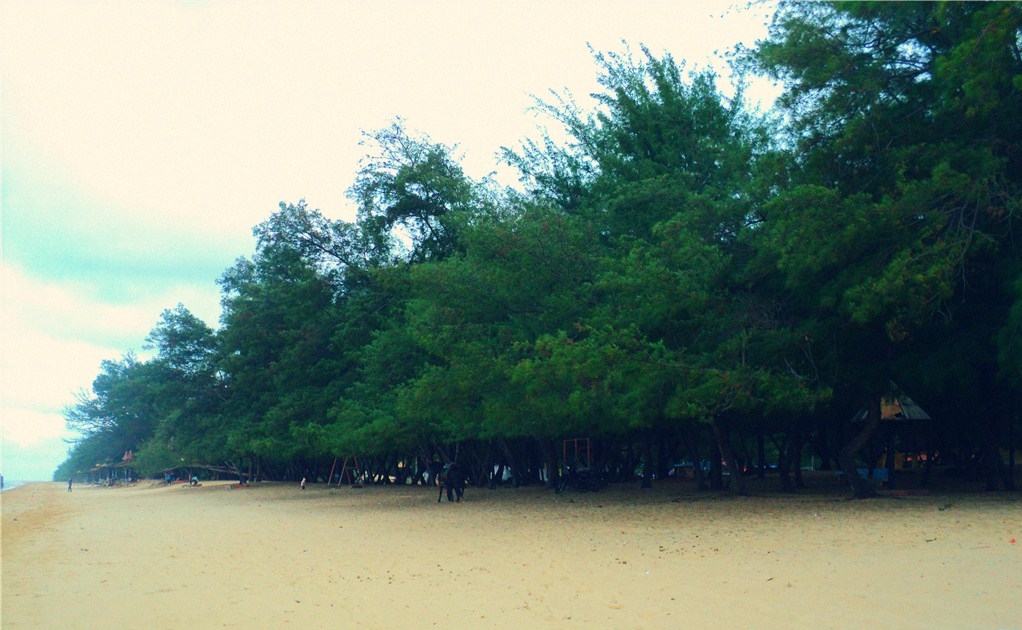Yuk Mengenal Pantai Lombang di Kab. Sumenep, Madura