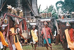 Mengenal Tradisi serta Budaya TORAJA (SULSEL)