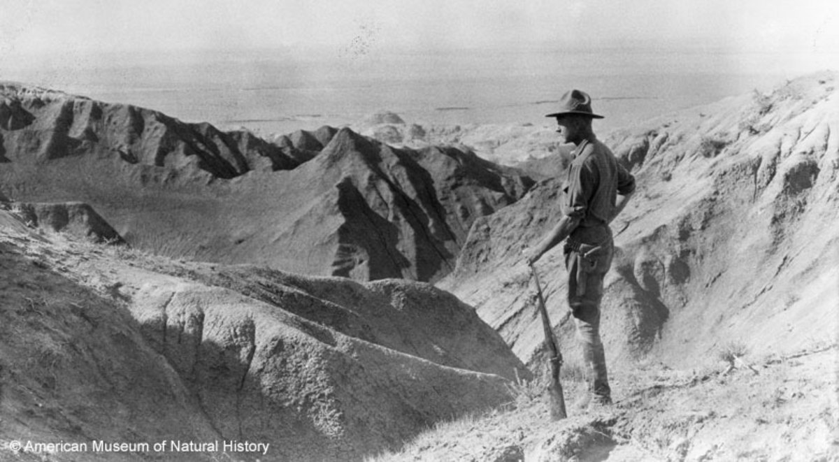 Film Indiana Jones Terinspirasi Petualangan Roy Chapman Andrews?