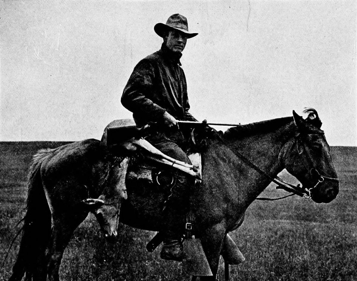 Film Indiana Jones Terinspirasi Petualangan Roy Chapman Andrews?