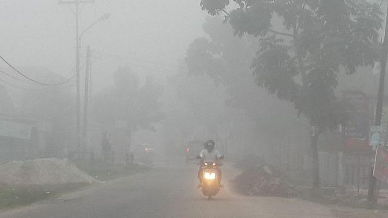 "55 Ribu Orang Tumbang Oleh Asap, Demi Allah Ini Bagai Genosida"