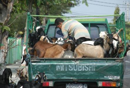 10 Bau Musuh Pengendara Motor