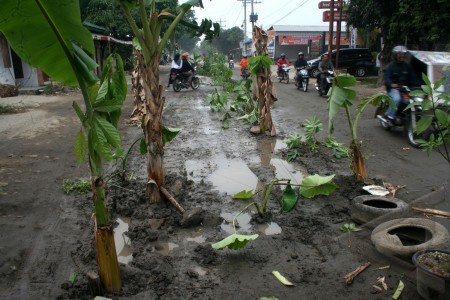 Jalan Pun Ditanami Pohon